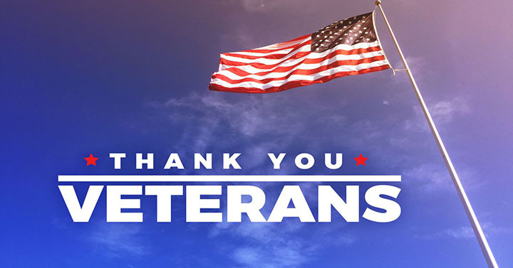 Veterans day 2024 wallpaper